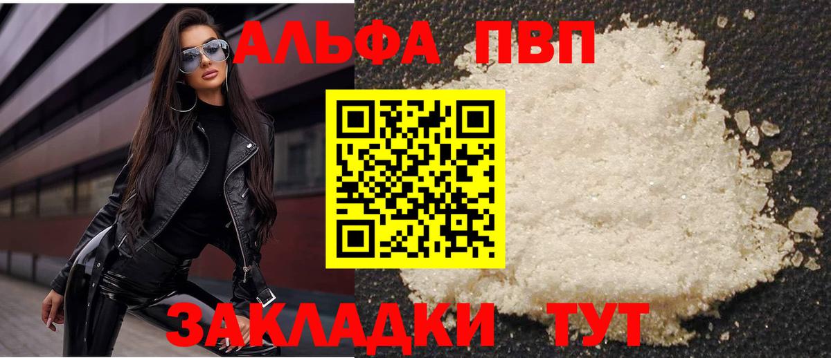 Alfa_PVP СК КРИС Кинешма