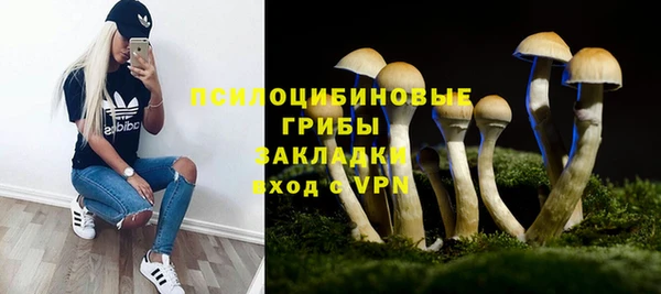 мдпв Костерёво