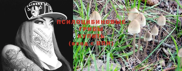 мдпв Костерёво
