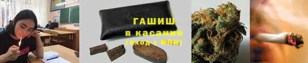 мдпв Костерёво