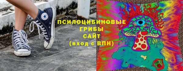 твердый Краснослободск