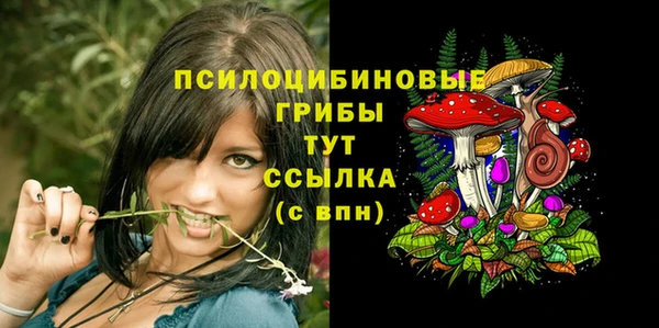 винт Коряжма