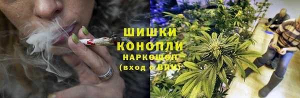мдпв Костерёво